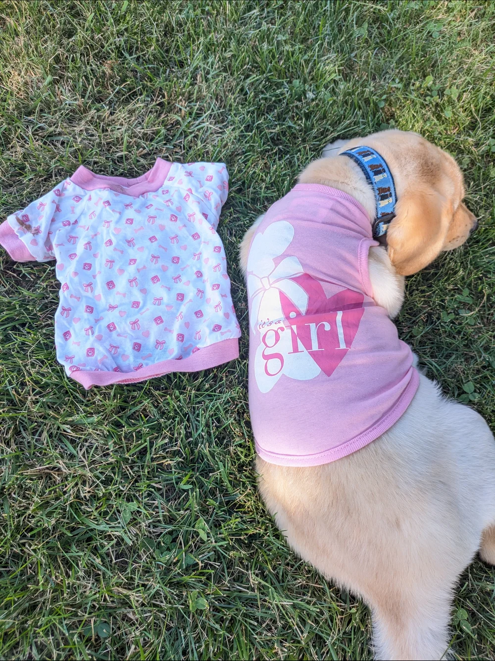Pink Puppy 🐾 T-shirts - It's A Girl & Puppy Print Size Medium 2/$20